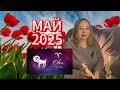♈️ОВЕН ✨Гороскоп  🌷МАЙ 2025 🫶