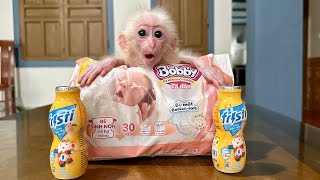 The poor baby monkey is happy when Hong buys diapers and milk!