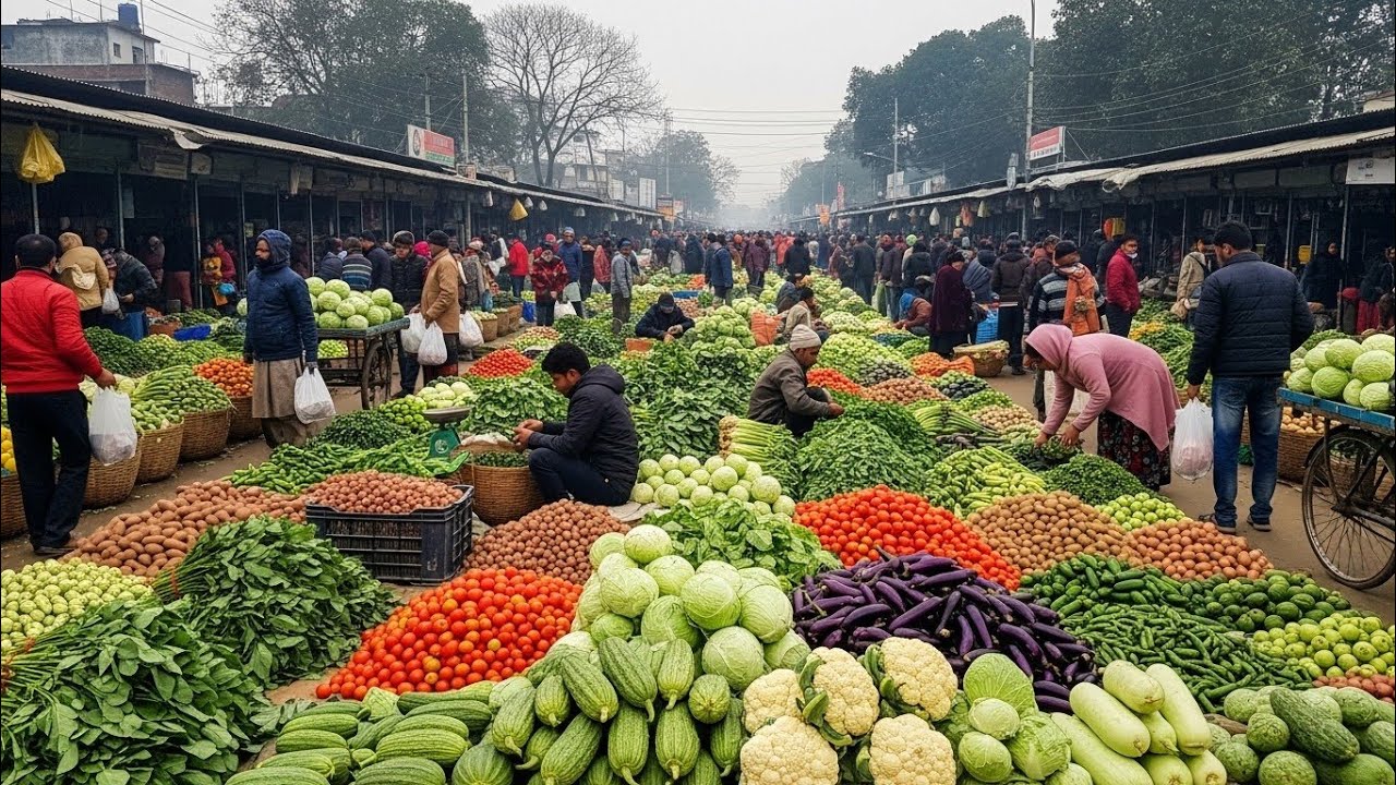 ৭ ফেব্রুয়ারি ২০২৬, সবজির পাইকারি আপডেট | ফেরিঘাট বাজার | Biggest Vegetable market in Bangladesh