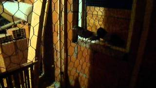 thief training 2_43