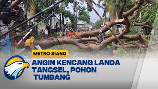 Hujan Deras dan Angin Kencang, Pohon Tumbang  - [Metro Siang]