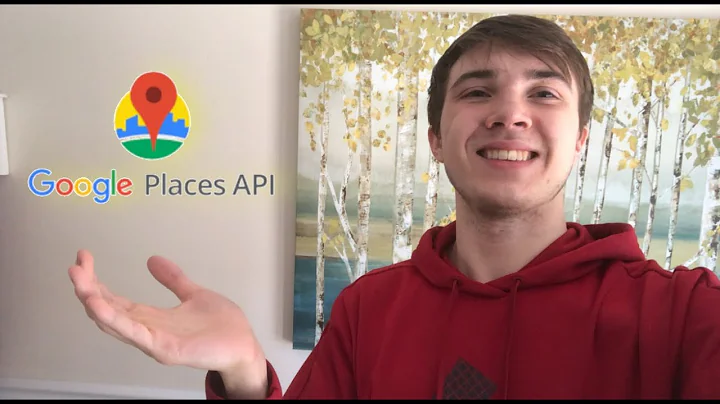 How to use the GOOGLE PLACES API (Google Autocomplete) (Beginner Tutorial) (Part 2)