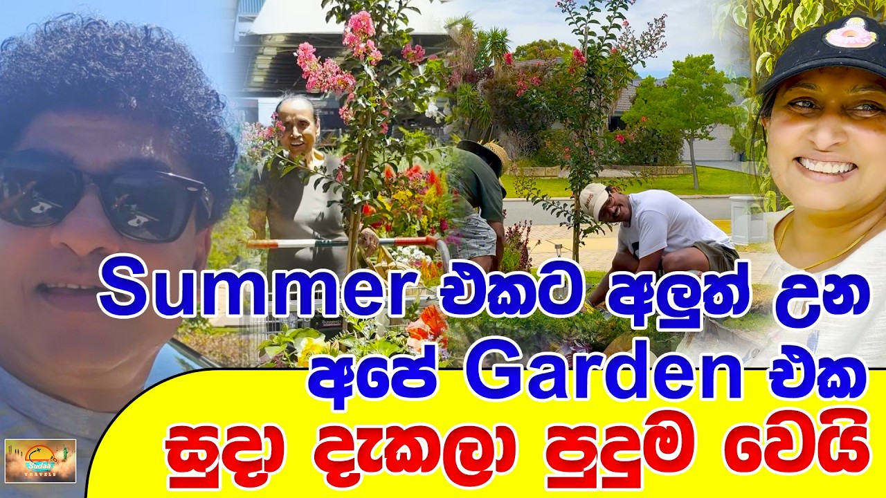 Summer එකට අලුත් උන අපේ Garden එක සුදා දැකලා පුදුම වෙයි | SUDAA TRAVEL |