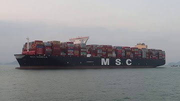 Mv Msc Isabella at Hongkong Modern Terminals at 15/11/2019
