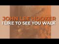 Miniature de la vidéo de la chanson I Like To See You Walk