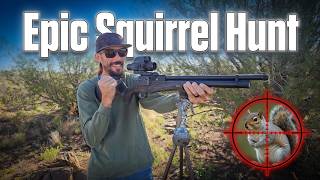 Daystate Huntsman Revere Safari DESTROYS Squirrels – Epic Pest Control Hunt!