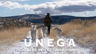 OFFICIAL TRAILER Unega | Tales Of The Guardians