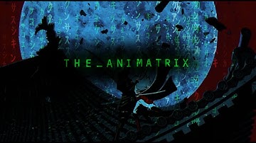 The Animatrix AMV | Cis and Duo | XX- the intro