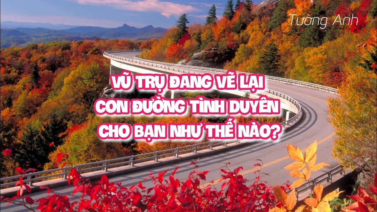 VŨ TRỤ ĐANG VẼ LẠI CON ĐƯỜNG TÌNH DUYÊN CHO BẠN NHƯ THẾ NÀO? (Timeless)