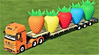 TRANSPORTING OF COLORS ! GIANT STAWBERRY LOADING ON LOW LOADER w JOHN DEERE 6R !Farming Simulator 22