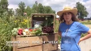 Summer CSA - Week 3