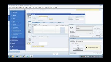 SAP Business One Advanced Productivity Pack - Add Sales Order Function Button From BP Master