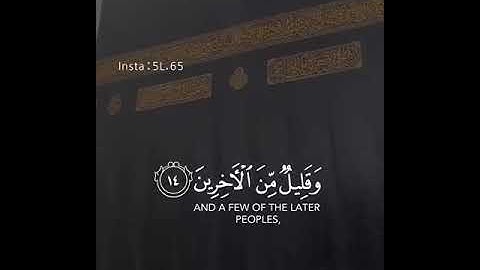 القارئ مصطفى يوسف/ اجمل حالات وتساب دينيه قصيره تلاوه عذبه وخاشعه