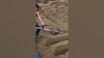 bộ tạo rãnh máy cắt cỏ balo đeo lưng