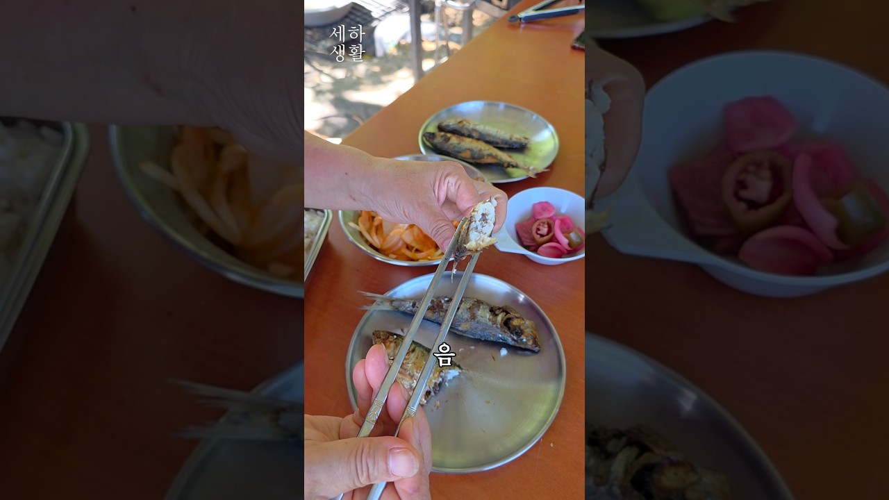 가을 전어구이, 숯불에 구웠더니 엄지가 절로 올라가네요 레시피 숏폼 썸네일