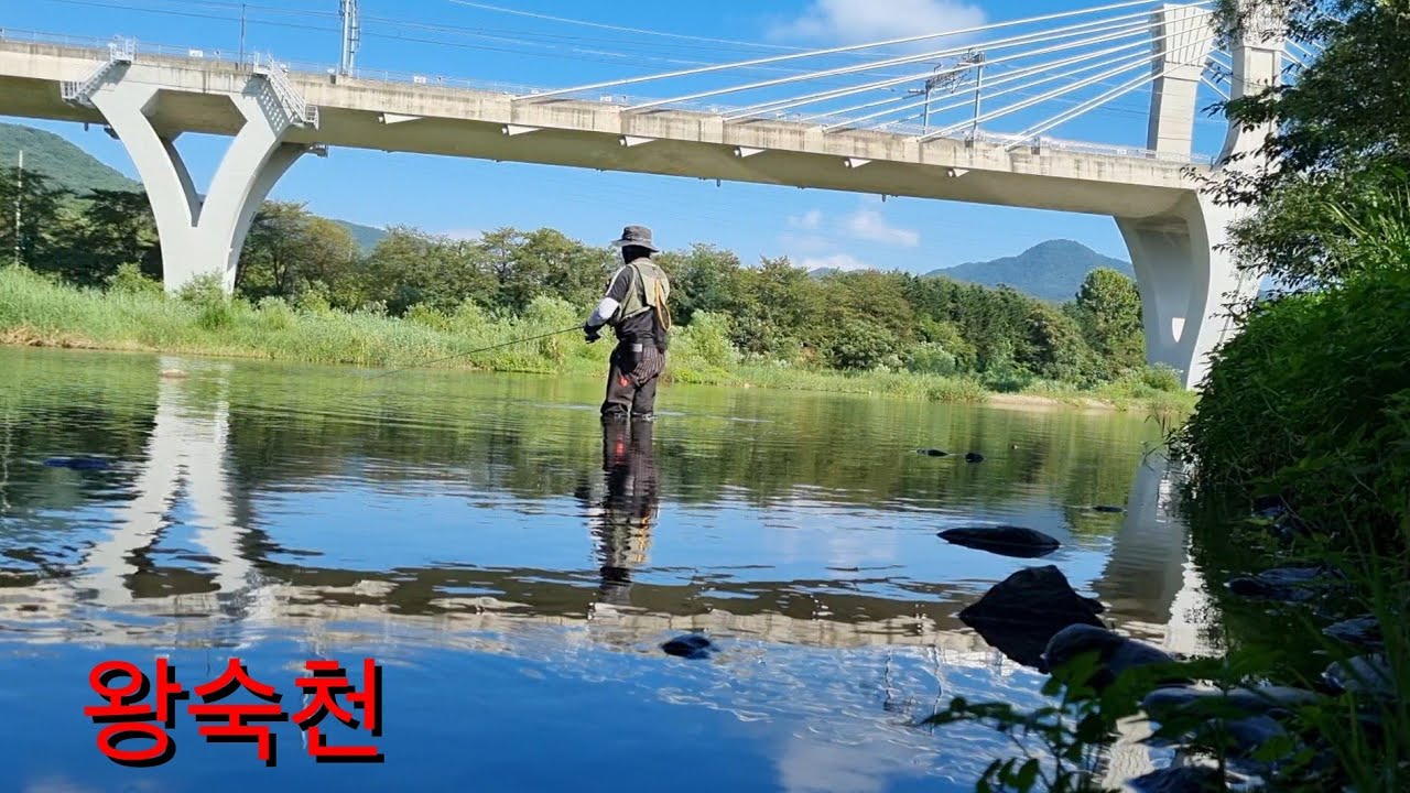 (내곡리) 쌍다리 포인트!!