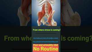 Psoas Muscle (Fight or Flight) - Release your fear