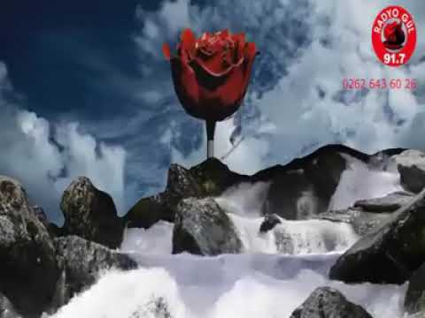 صلو على الحبيب محمد صل الله عليه وسلم ارجو كل من شاهدا هاذ المقطع ارجو الاشتراك لننشر من المزيد