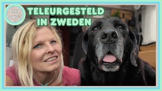 Download Lagu #36 TELEURGESTELD IN ZWEDEN - SOLO CAMPERREIS NOORDKAAP MP3 Download Lagu #36 TELEURGESTELD IN ZWEDEN - SOLO CAMPERREIS NOORDKAAP MP3