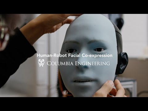 Human-Robot Facial Co-expression