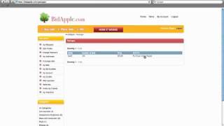 Bid Apple Flippa Auction screenshot 2