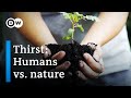 What happens when our water dries up? | DW Documentary