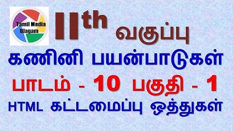 #11th std Computer Applications | Tamil Medium | Chapter 10 | Lesson 10 | Part 1
