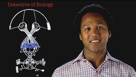 Andre Fenton: Detective of Biology