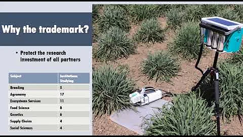 Tessa Peters -  Bring Kernza Perennial Grain to Ma...