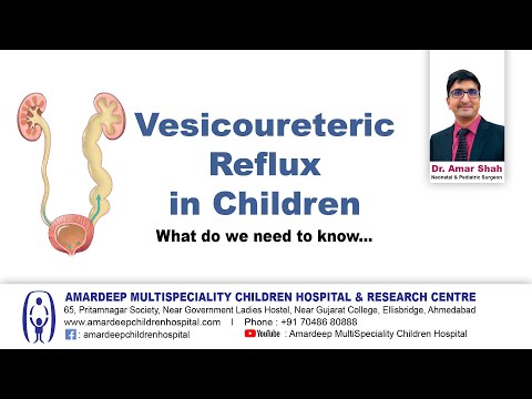 Vesicoureteric Reflux in Children - English