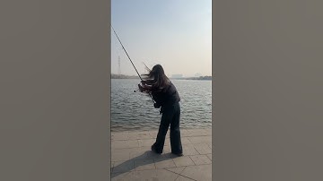 Cần câu lục siêu cứng 3,6-4,5m câu cá 30kg #fishingrod #shorts #fishing