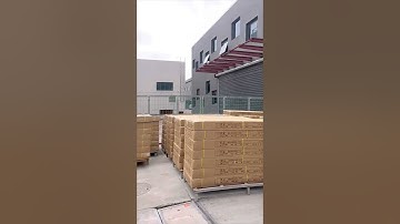 Container Stuffing Export From China To Surabaya Indonesia #shorts