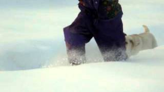 Picture 150.avi