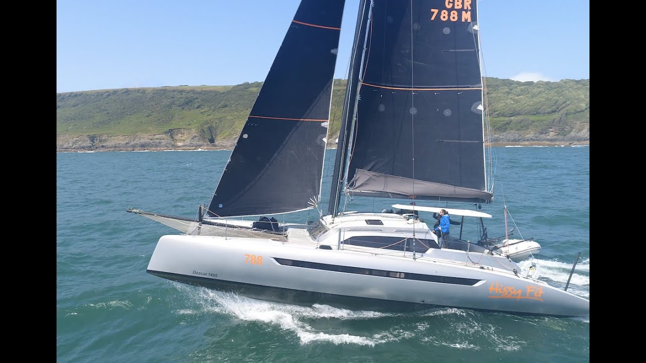 Dazcat 1495 Hissy Fit strutting for the drone