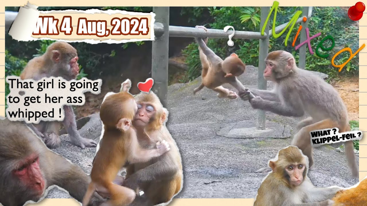 A very eventful day 🤩 - so many to see in the end !