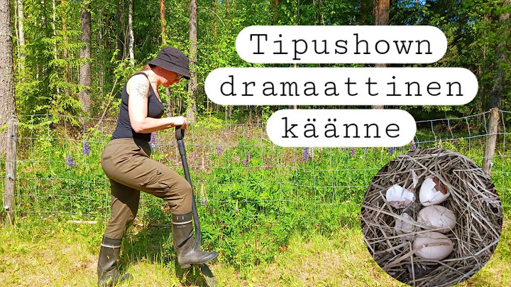 Viimehetken pelastus