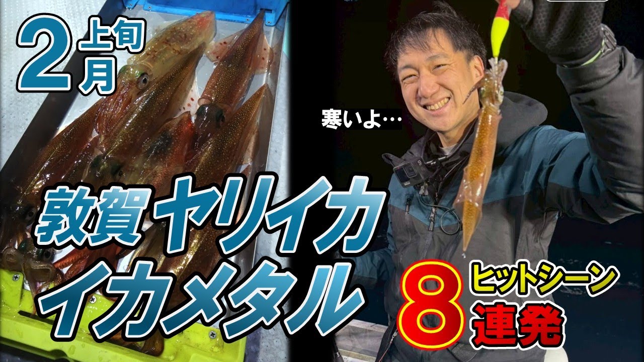 様子見の敦賀ヤリイカ釣行～【イカメタル/オモリグ】【2026/2】