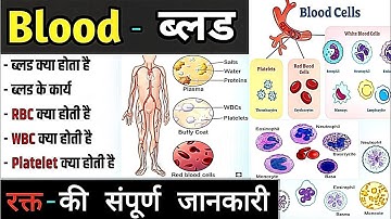 🩸 Blood (रक्त) क्या है? | Complete Information in Hindi | Blood Types, Functions? @puniasachin5041 