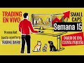 TRADING EN VIVO SMALL CAPS | Nuevo mes!