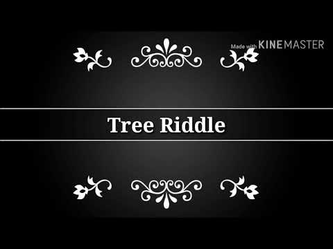 Video: What Are The Riddles About Trees