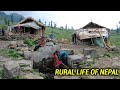 Hard to Live In Nepali Mountain Village || Rural Life In Nepal || IamSuman