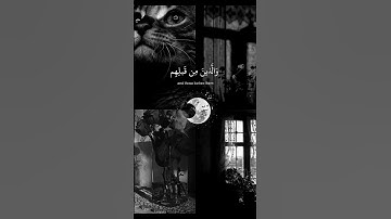 أجمل تلاوة خاشعة للقلب..الشيخ عبد الرحمن مسعد ❤🍃