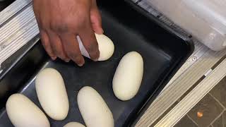 Pulling a Clutch for my boy! His first clutch ever! 😱😱😱 How to pull eggs from a snake! Profile