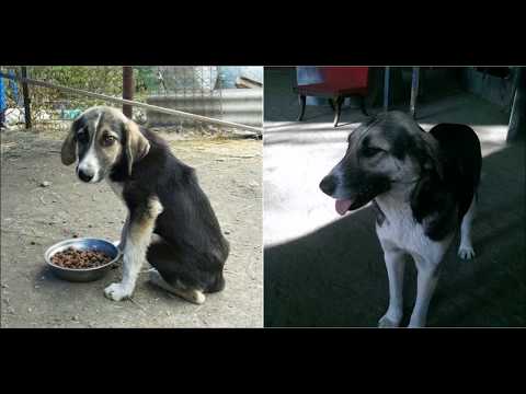 ჩვენი გადარჩენილები :)