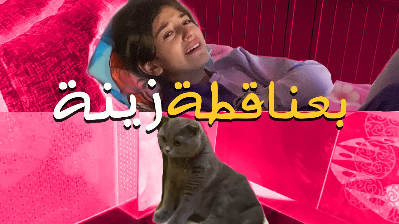 بعنا قطة زينة 🐱 | ردة فعلها 🥲💔
