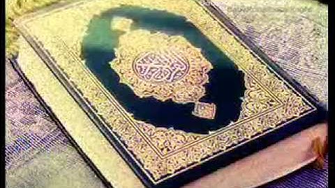 قراءة رائعة للشيخ نبيل العوضي - من سورة الفجر.