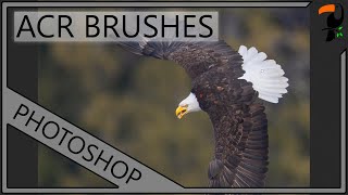 Using RAW Adjustment Brushes in Photoshop