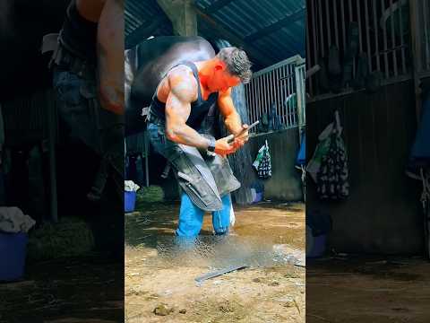 دمش گرم اسب را نجات داد