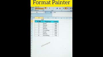 How To Use Format Painter in Ms Excel #excel #exceltips #excelshortsvideo #shorts @Mticcomputer