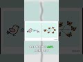 Life's Code Rewritten: Heredity, Evolution, Variation